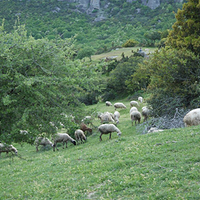 Photo de Grece - Les Météores